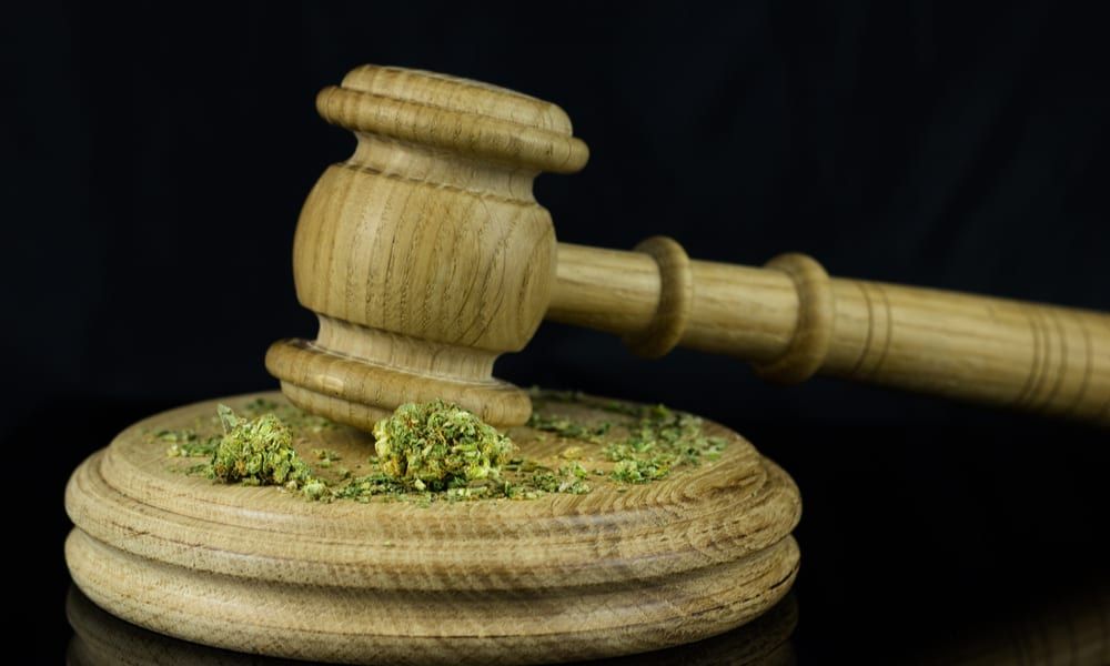 marijuana attorney michigan cannabis lawyers www.micannabislawyer.com